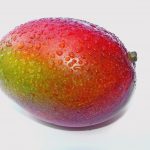 Mango 1szt.