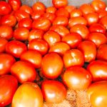 Pomidory 1kg