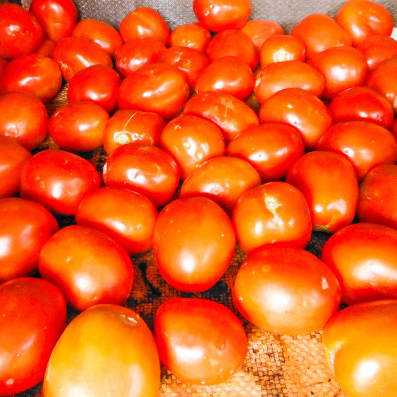 Pomidory 1kg